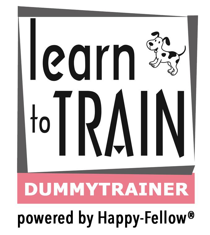 Logo learn to train